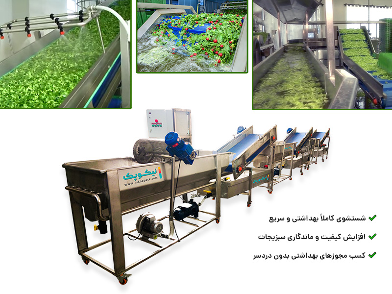 دستگاه شستشوی سبزی