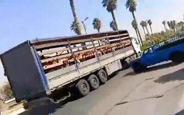 این مدیر مدرسه در جهرم از سمت خود برکنار شد/ ماجرا چیست؟ این مدیر مدرسه در جهرم از سمت خود برکنار شد/ ماجرا چیست؟