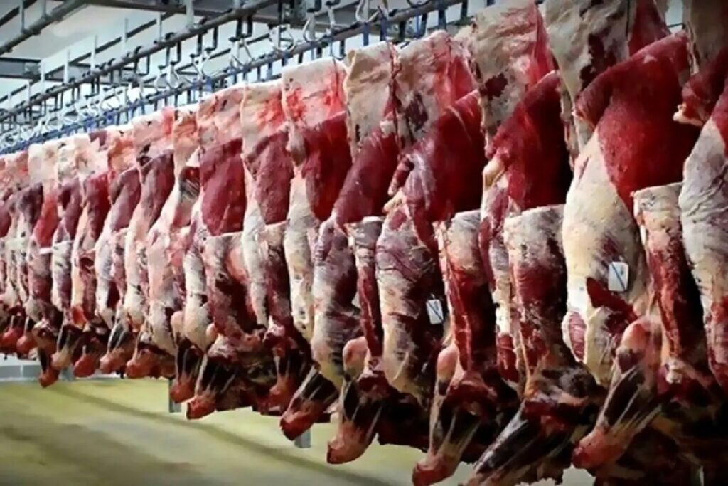 قیمت گوشت قرمز امروز ۲۸ آبان ۱۴۰۴ / راسته گوسفندی چند؟