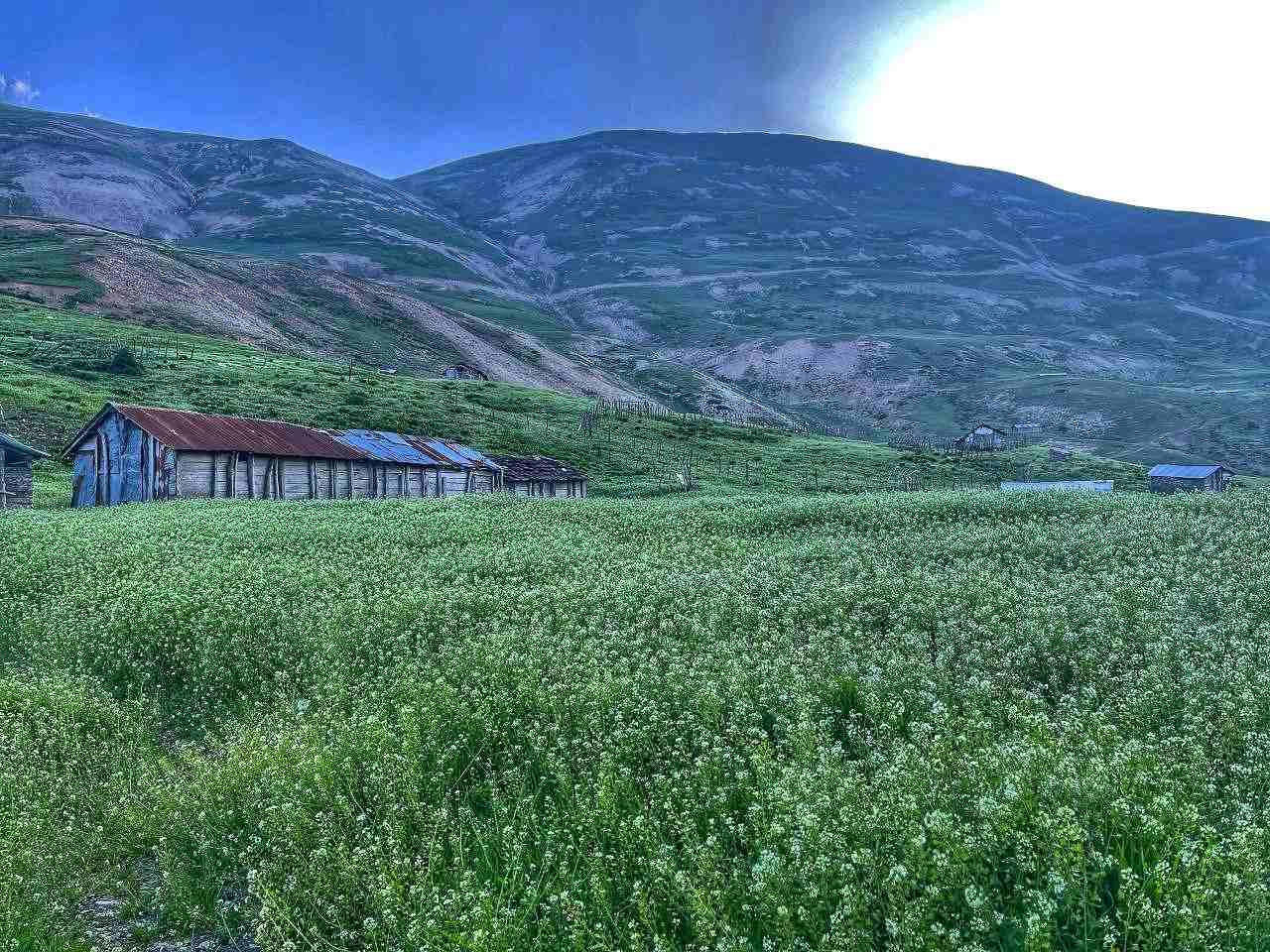 ییلاق سوئه چاله بهترین نقطه برای سفر پاییزی